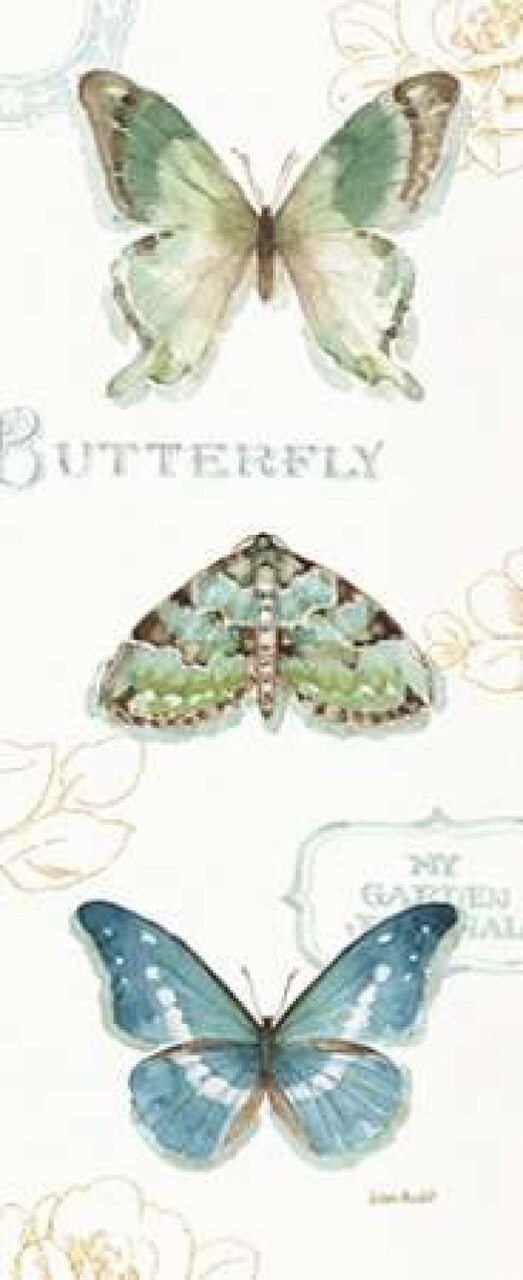 My Greenhouse Butterflies VI Poster Print by Audit Lisa - Item # VARPDX22213